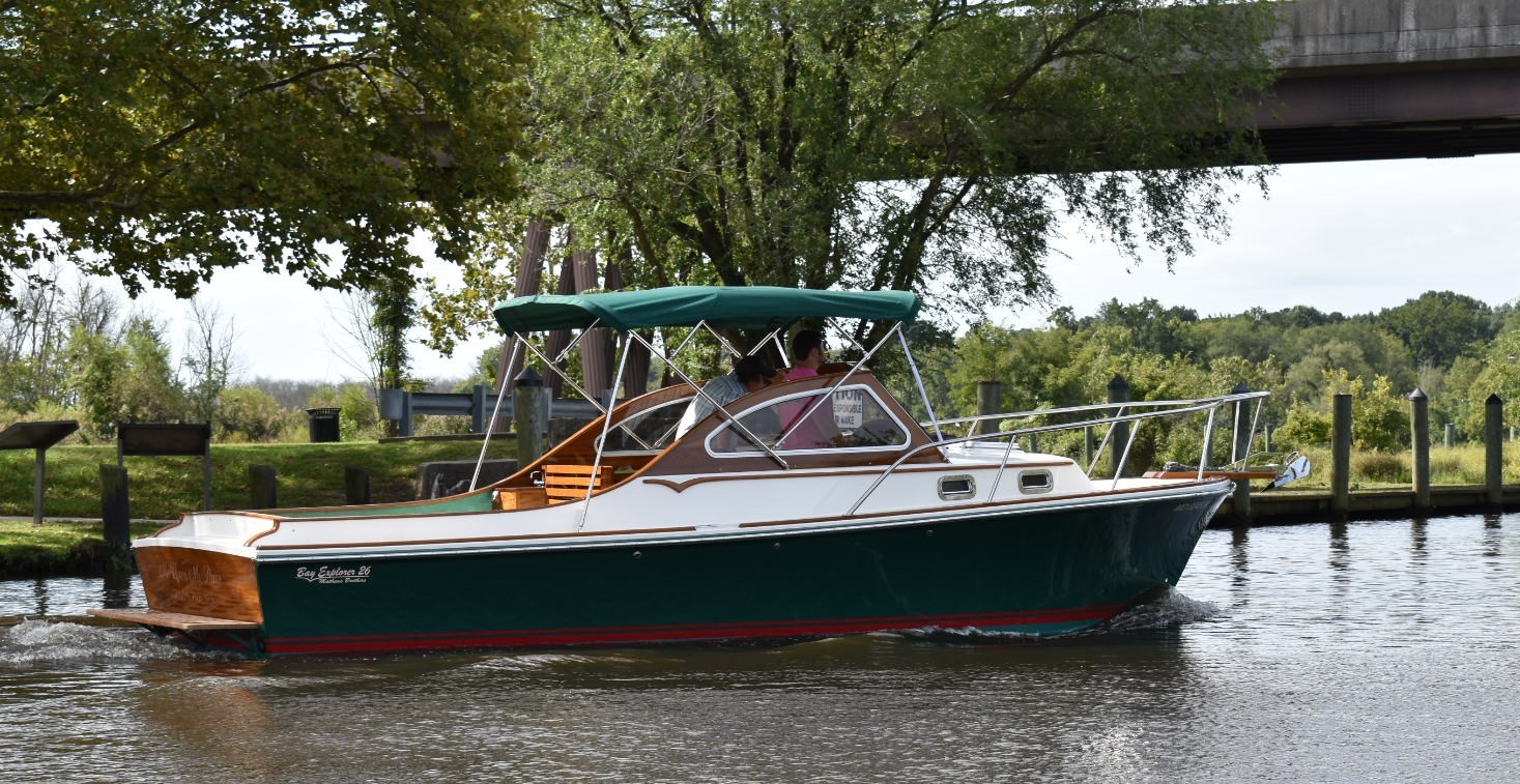 A Boat With Green Shade by the Lake Shore and Tree